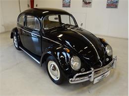1955 Volkswagen Beetle (CC-1605616) for sale in Langeskov, Denmark