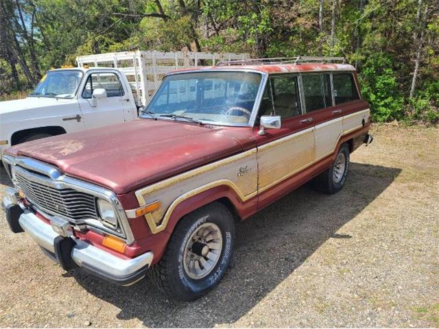 1985 Jeep Grand Wagoneer (CC-1600598) for sale in Cadillac, Michigan