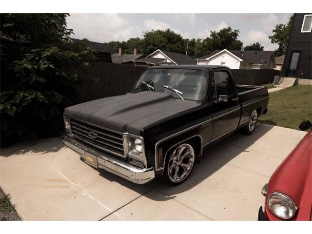 1980 Chevrolet C10 (CC-1606346) for sale in Cadillac, Michigan