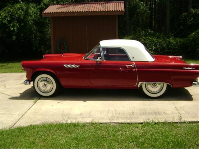 1955 Ford Thunderbird (CC-1606369) for sale in Cadillac, Michigan