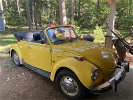 1976 Volkswagen Super Beetle (CC-1606631) for sale in Lac du Flambeau, Wisconsin