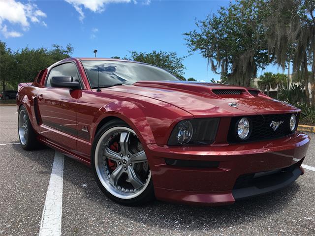 2008 Ford Mustang GT/CS (California Special) (CC-1607126) for sale in St.Petersburg, Florida