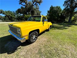 1982 Chevrolet C10 (CC-1608019) for sale in East Palatka, Florida