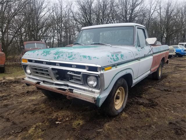 1977 Ford F150 (CC-1608084) for sale in Thief River Falls, Minnesota