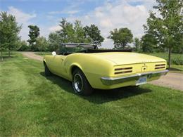 1967 Pontiac Firebird (CC-1608304) for sale in Brantford, Ontario