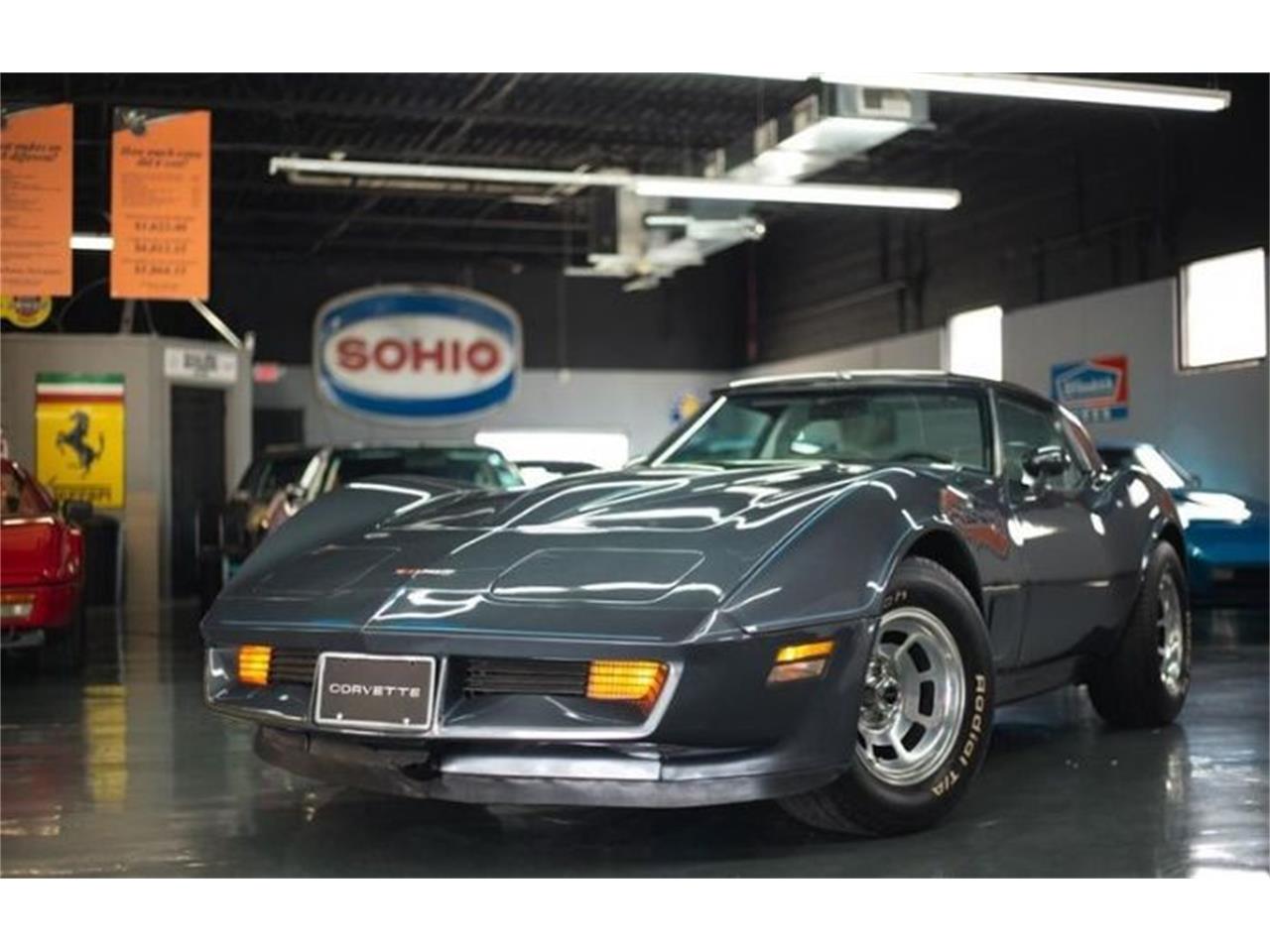 1981 Chevrolet Corvette For Sale | ClassicCars.com | CC-1611795