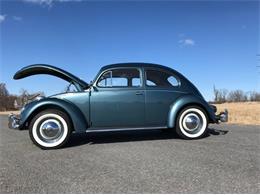 1958 Volkswagen Beetle (CC-1611870) for sale in Cadillac, Michigan