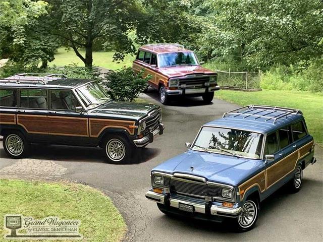 1984 Jeep Grand Wagoneer (CC-1612073) for sale in BEMUS POINT, New York