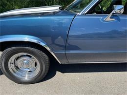 1979 Chevrolet Malibu (CC-1612206) for sale in Addison, Illinois