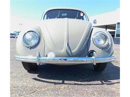 1952 Volkswagen Beetle (CC-1610291) for sale in Odessa, Texas