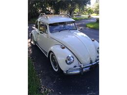 1967 Volkswagen Beetle (CC-1613304) for sale in Deerfield Beach, Florida