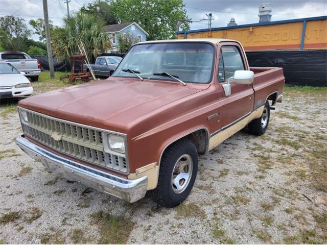 1982 Chevrolet C10 (CC-1613411) for sale in Cadillac, Michigan