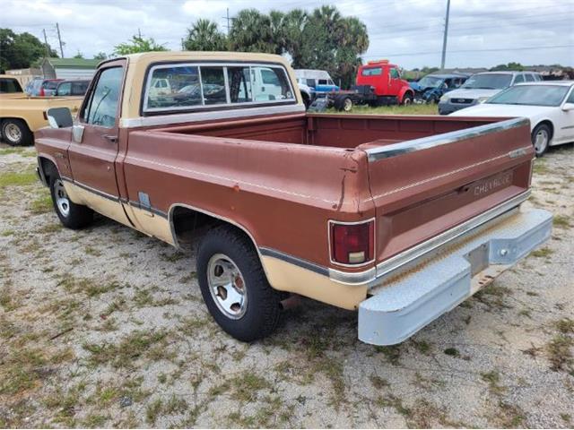 1982 Chevrolet C10 for Sale | ClassicCars.com | CC-1613411