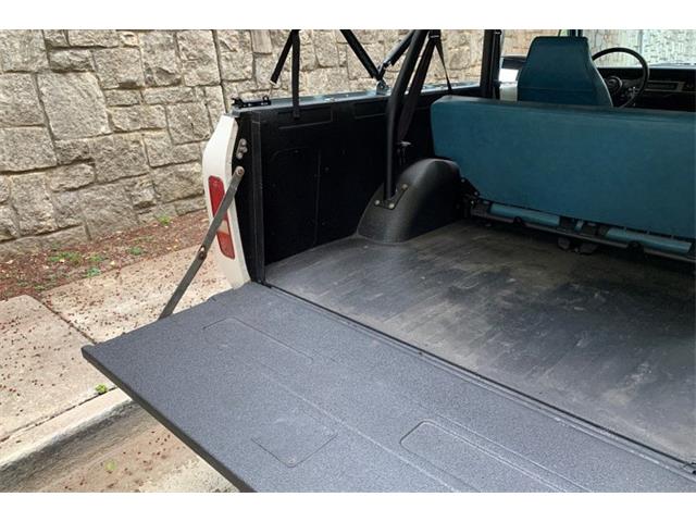 1980 International Scout (CC-1614070) for sale in Atlanta, Georgia