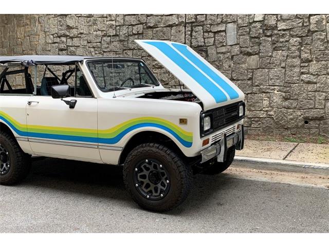 1980 International Scout (CC-1614070) for sale in Atlanta, Georgia