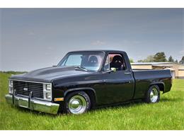 1981 Chevrolet 1/2 Ton Shortbox (CC-1614981) for sale in Watertown, Minnesota