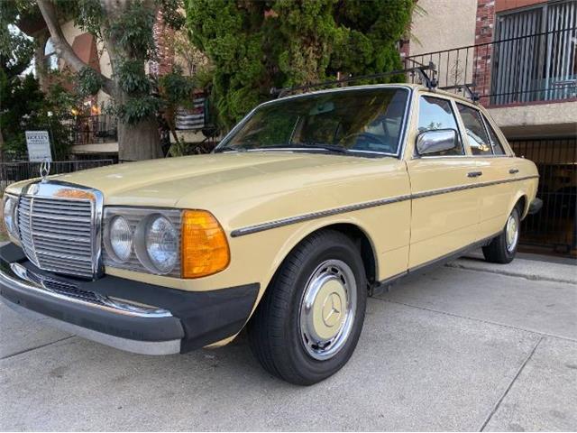 1979 Mercedes-Benz 240D (CC-1615323) for sale in Cadillac, Michigan