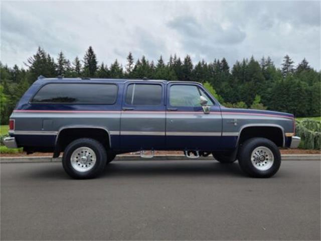 1987 Chevrolet Suburban (CC-1615752) for sale in Cadillac, Michigan