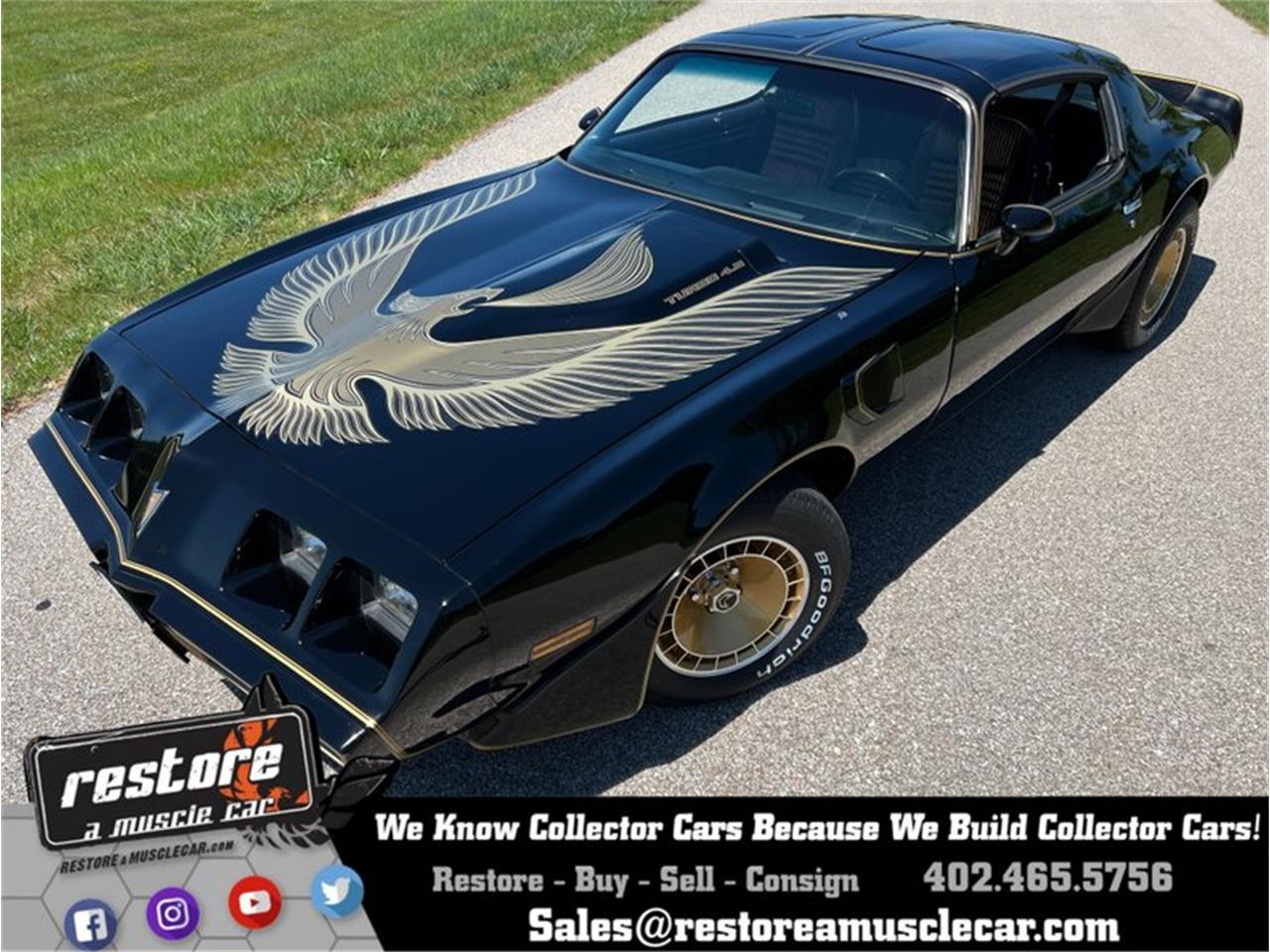 1981 Pontiac Firebird Trans Am for Sale CC1616565