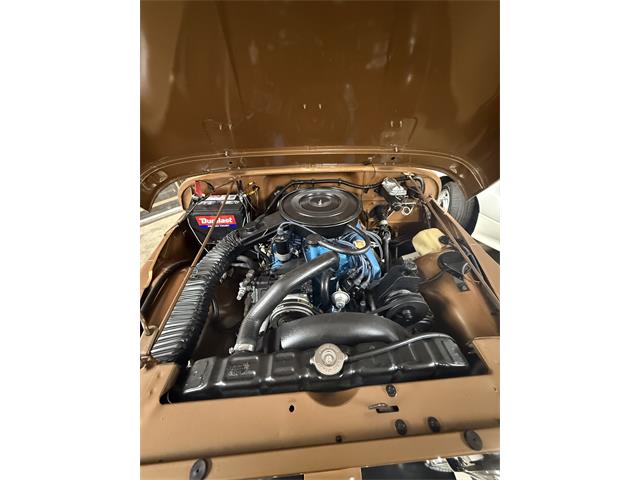 1979 Jeep CJ5 (CC-1616608) for sale in Flora, Illinois