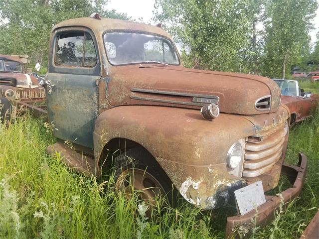 1950 Ford F6 (CC-1616626) for sale in THIEF RIVER FALLS, Minnesota