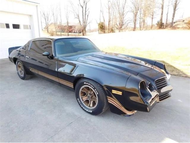 1980 Chevrolet Camaro (CC-1610779) for sale in Cadillac, Michigan