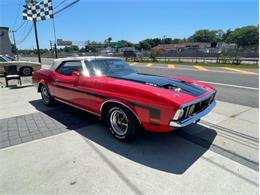 1971 Ford Mustang (CC-1618462) for sale in Cadillac, Michigan