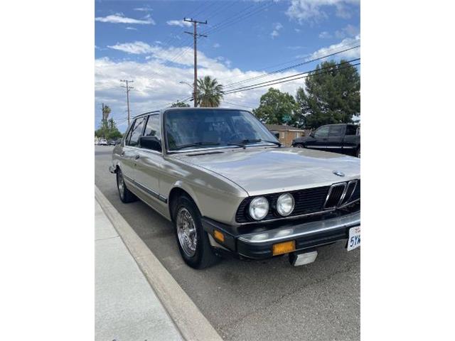 1988 BMW 5 Series (CC-1618578) for sale in Cadillac, Michigan