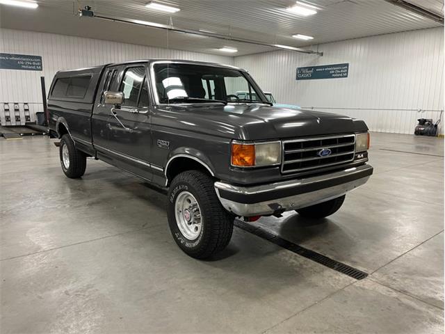 1990 Ford F250 (CC-1619095) for sale in Holland , Michigan
