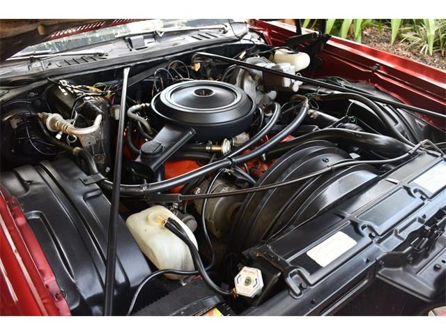 1973 Chevrolet Monte Carlo (CC-1619299) for sale in Lakeland, Florida