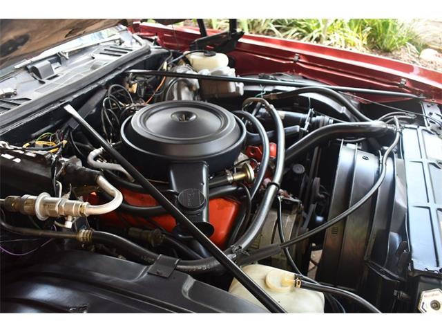 1973 Chevrolet Monte Carlo (CC-1619299) for sale in Lakeland, Florida
