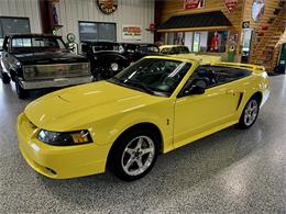 2001 Ford Mustang Cobra (CC-1619653) for sale in Hamilton, Ohio