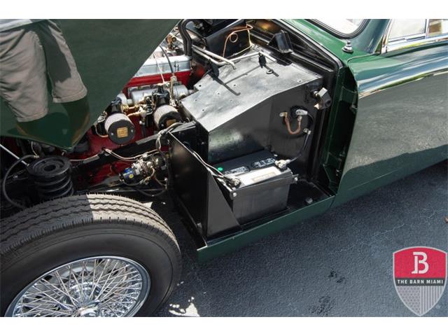 1955 Aston Martin Coupe (CC-1619784) for sale in Miami, Florida