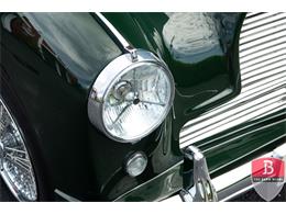 1955 Aston Martin Coupe (CC-1619784) for sale in Miami, Florida