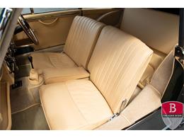 1955 Aston Martin Coupe (CC-1619784) for sale in Miami, Florida