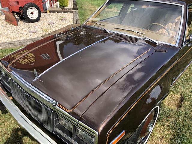 1979 AMC Concord (CC-1621236) for sale in Latrobe, Pennsylvania