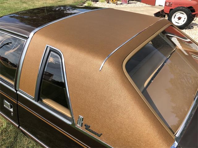 1979 AMC Concord (CC-1621236) for sale in Latrobe, Pennsylvania