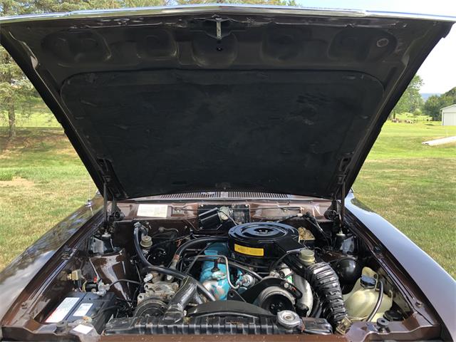1979 AMC Concord (CC-1621236) for sale in Latrobe, Pennsylvania