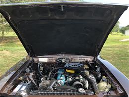 1979 AMC Concord (CC-1621236) for sale in Latrobe, Pennsylvania