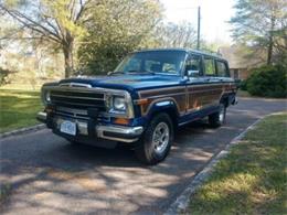 1989 Jeep Grand Wagoneer (CC-1620158) for sale in Cadillac, Michigan