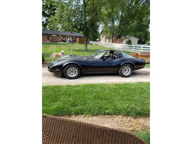 1981 Chevrolet Corvette (CC-1620165) for sale in Cadillac, Michigan