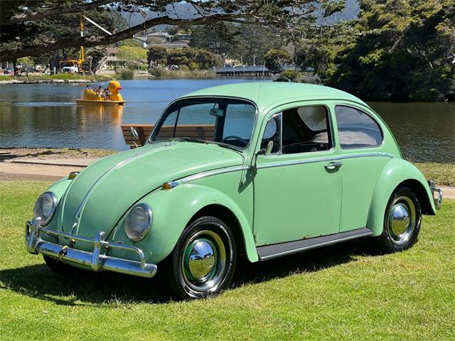 1964 Volkswagen Beetle (CC-1621755) for sale in Monterey, California