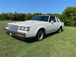 1987 Buick Regal (CC-1622025) for sale in Hilton, New York