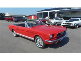 1966 Ford Mustang (CC-1622449) for sale in Greenville, North Carolina