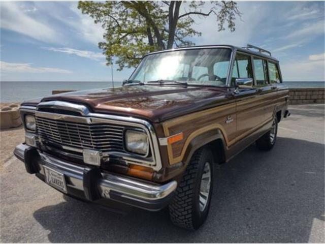 1984 Jeep Grand Wagoneer (CC-1623152) for sale in Cadillac, Michigan