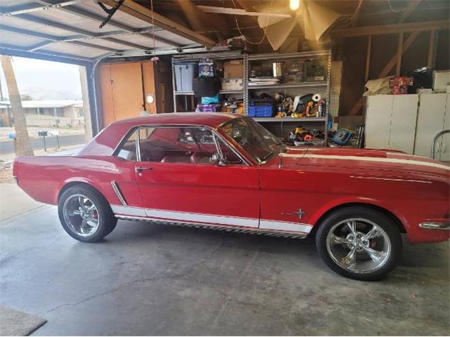 1965 Ford Mustang (CC-1623167) for sale in Cadillac, Michigan