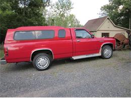 1987 Dodge Dakota (CC-1623182) for sale in Cadillac, Michigan