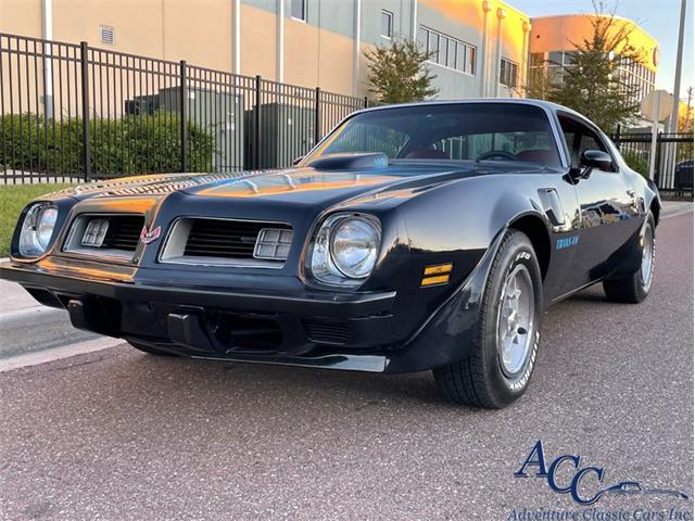 1975 Pontiac Firebird Trans Am (CC-1623361) for sale in Clearwater, Florida