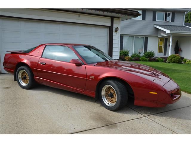 1991 Pontiac Firebird Trans Am GTA (CC-1623428) for sale in Sherwood Park, default