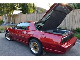 1991 Pontiac Firebird Trans Am GTA (CC-1623428) for sale in Sherwood Park, default